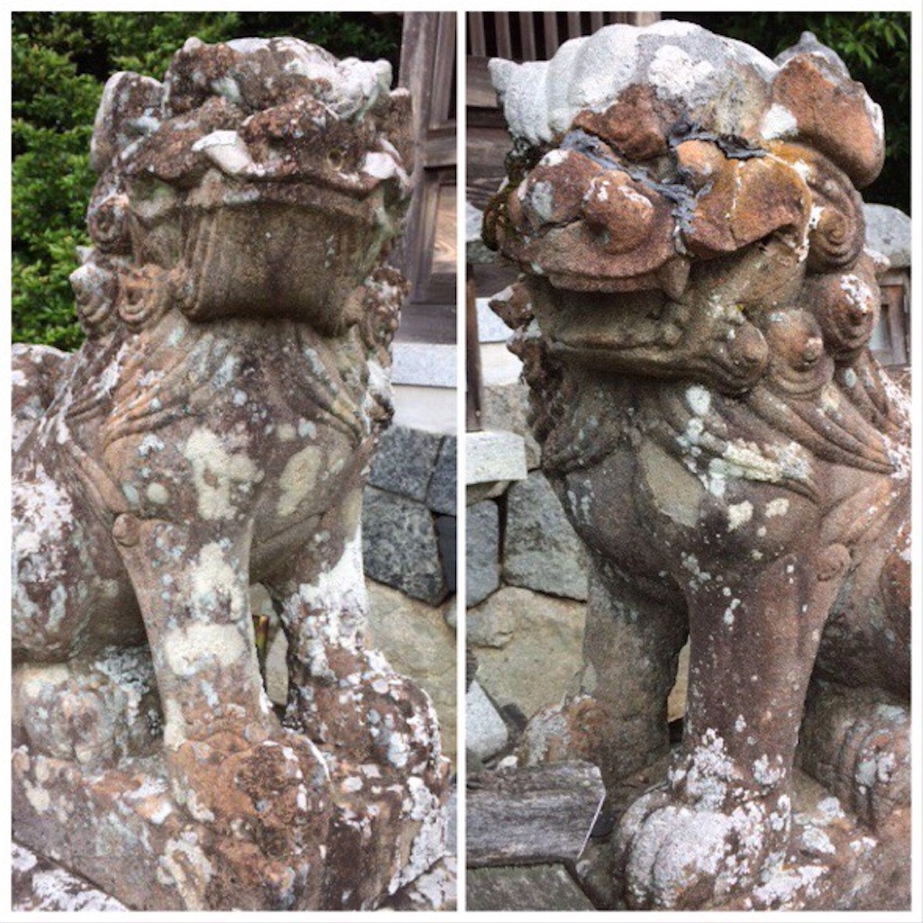 f:id:dragontone:20190626195314j:image f:id:dragontone:20190626195314j:image