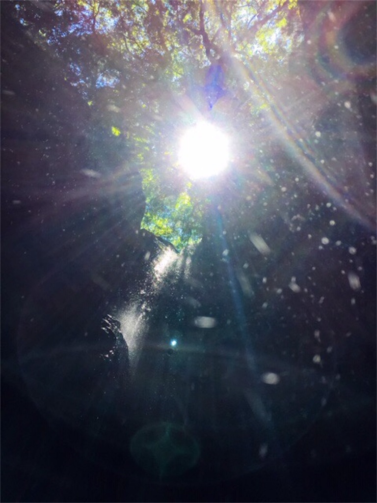 f:id:dragontone:20190729230842j:image
