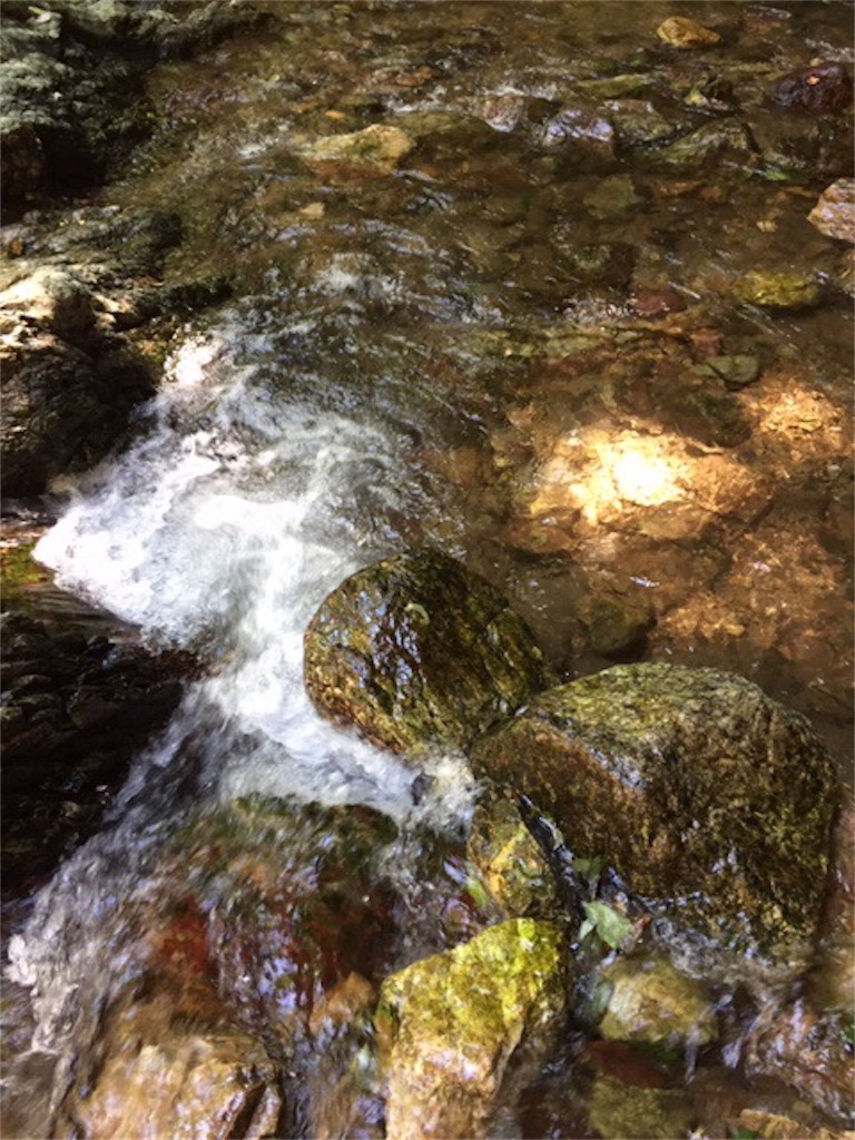f:id:dragontone:20190801071900j:image