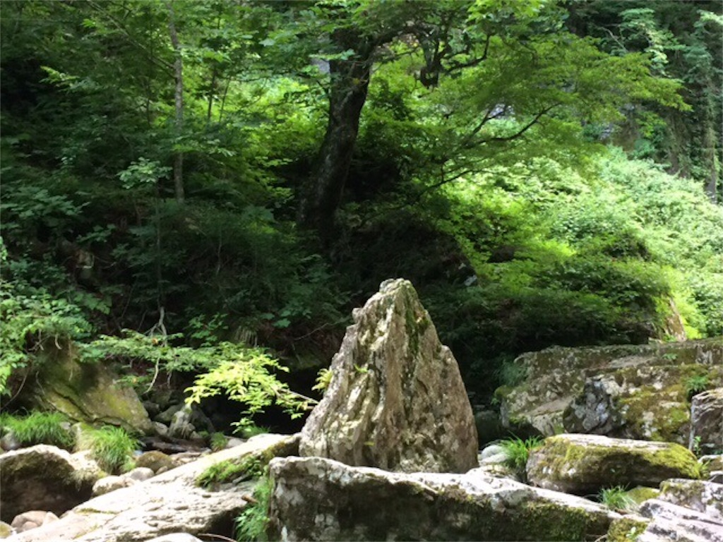 f:id:dragontone:20190814144418j:image