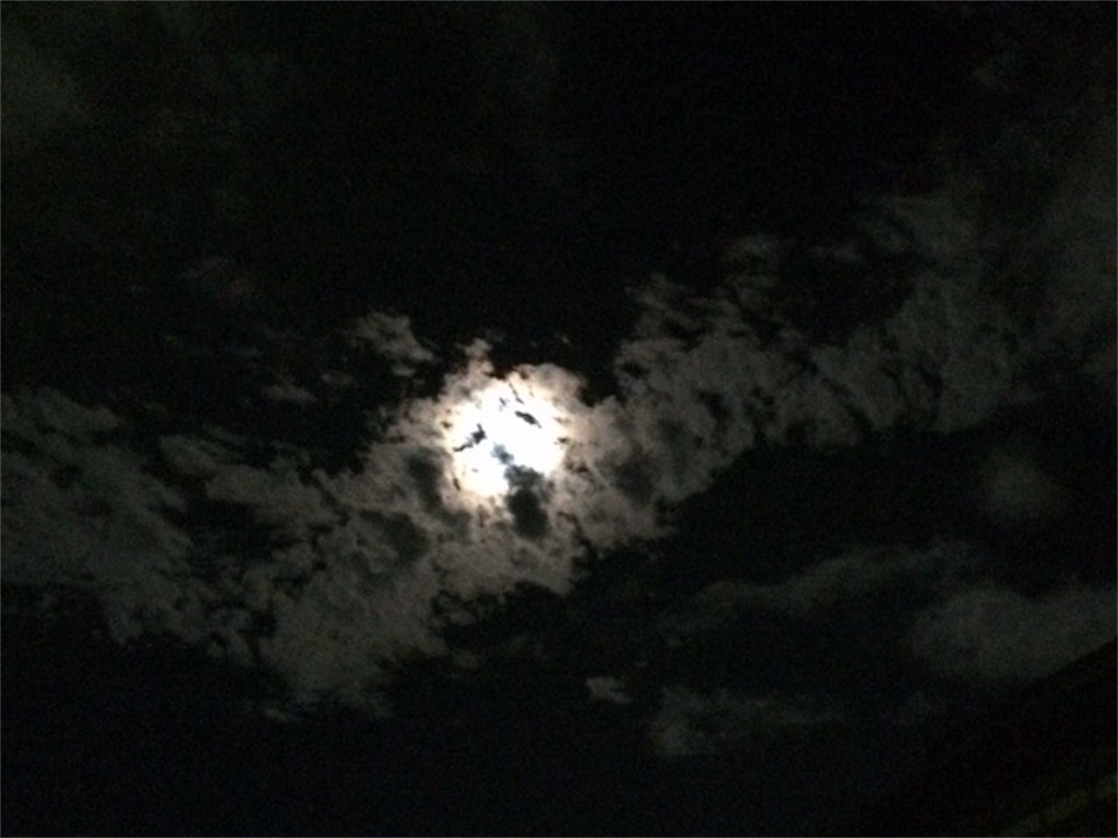f:id:dragontone:20191016105153j:image