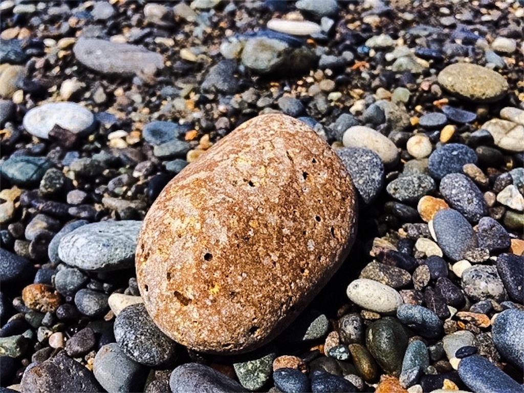 f:id:dragontone:20191101082257j:image
