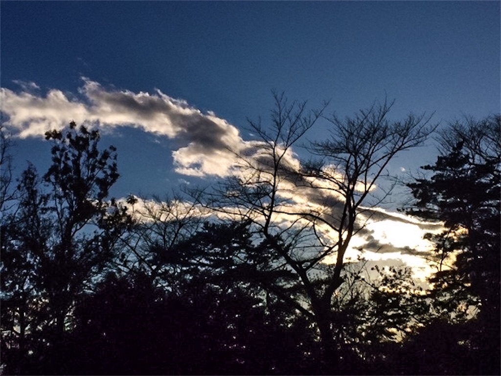 f:id:dragontone:20191204152821j:image