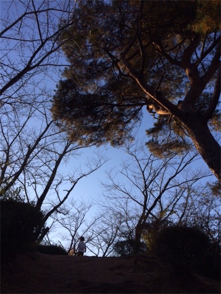 f:id:dragontone:20191204152828j:image