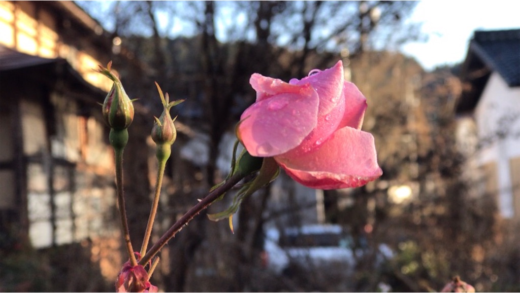 f:id:dragontone:20191220181612j:image
