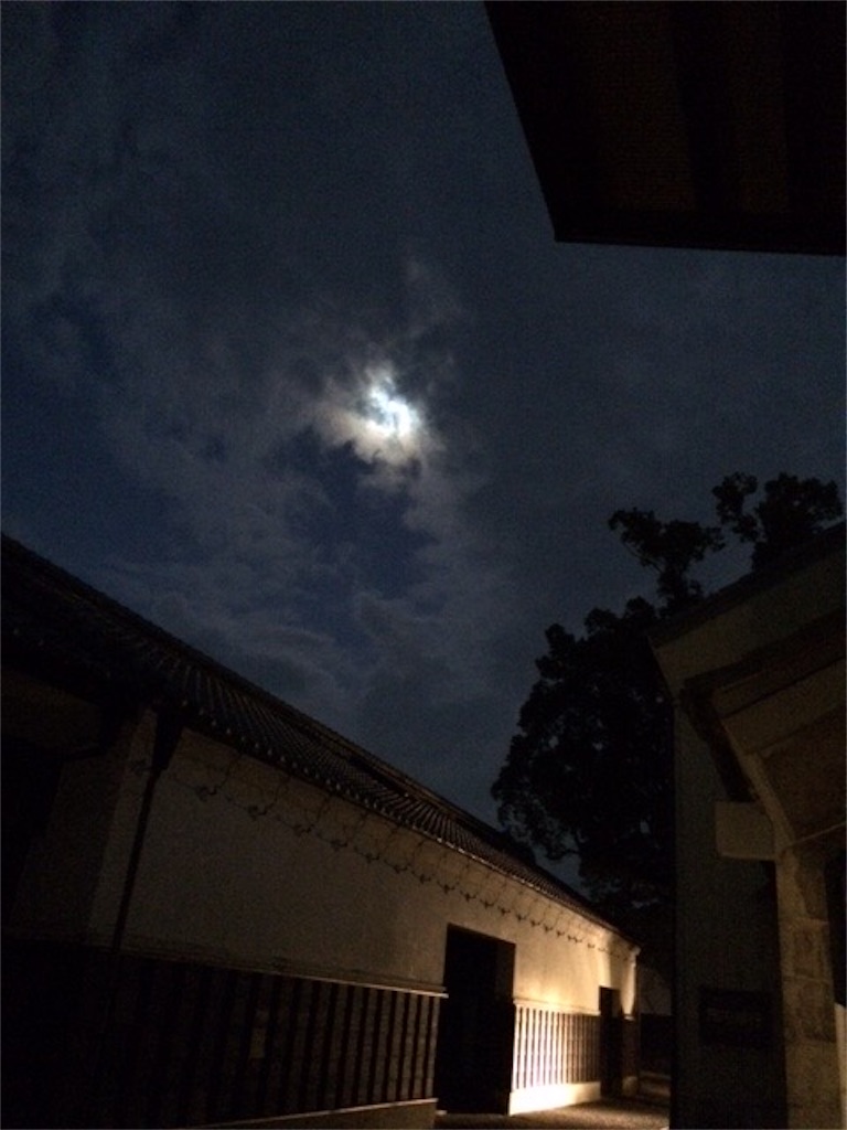 f:id:dragontone:20200108190838j:image