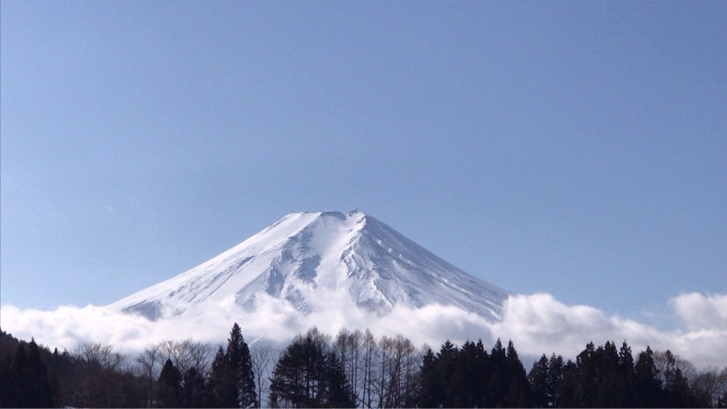 f:id:dragontone:20200122195217j:image