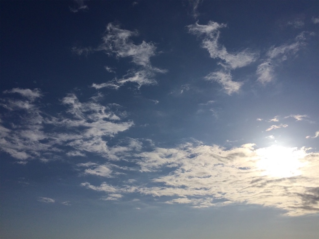 f:id:dragontone:20200226083143j:image