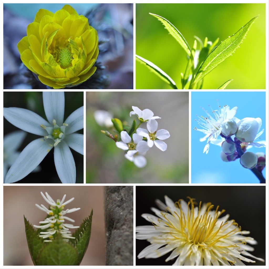 f:id:dragontone:20200411100403j:image f:id:dragontone:20200411100403j:image