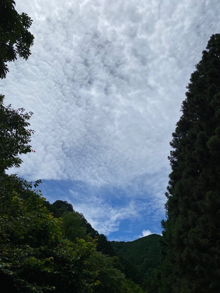 f:id:dragontone:20200729121305j:image