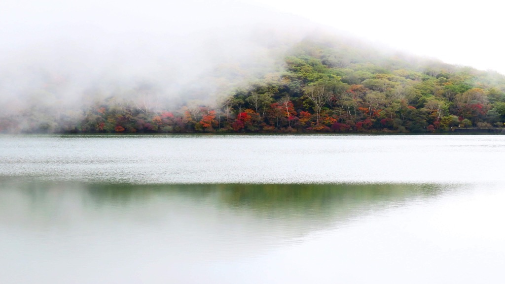 f:id:dragontone:20201017104702j:image
