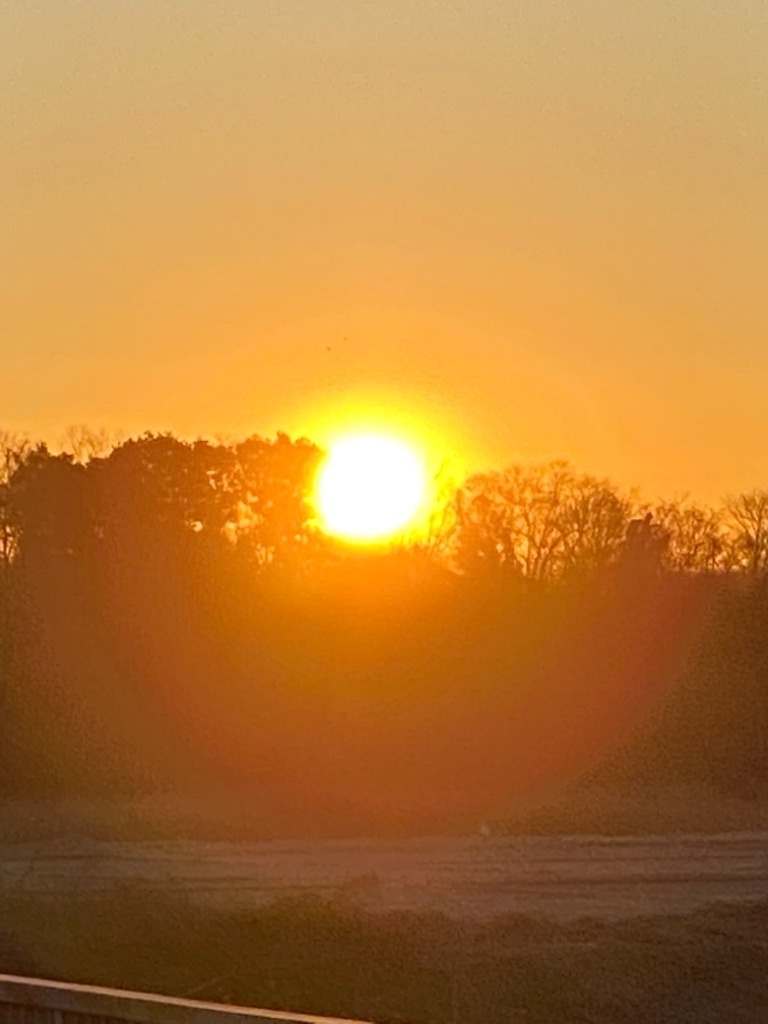 f:id:dragontone:20210101075314j:image