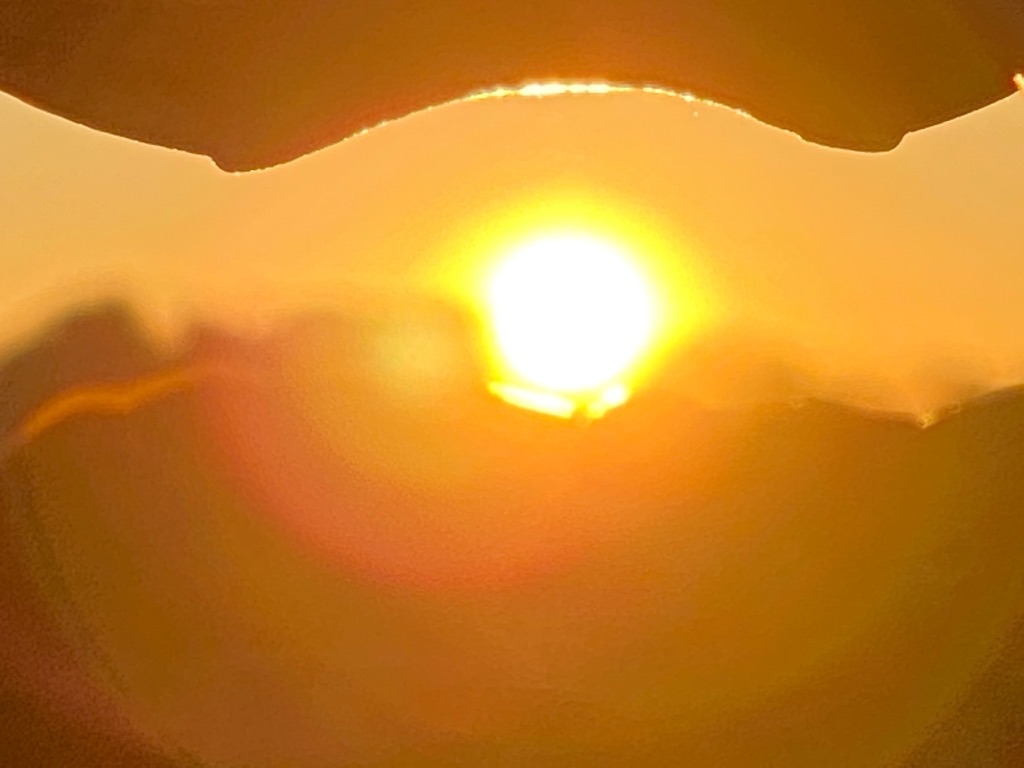 f:id:dragontone:20210101075323j:image