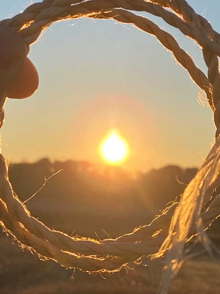 f:id:dragontone:20210101075336j:image