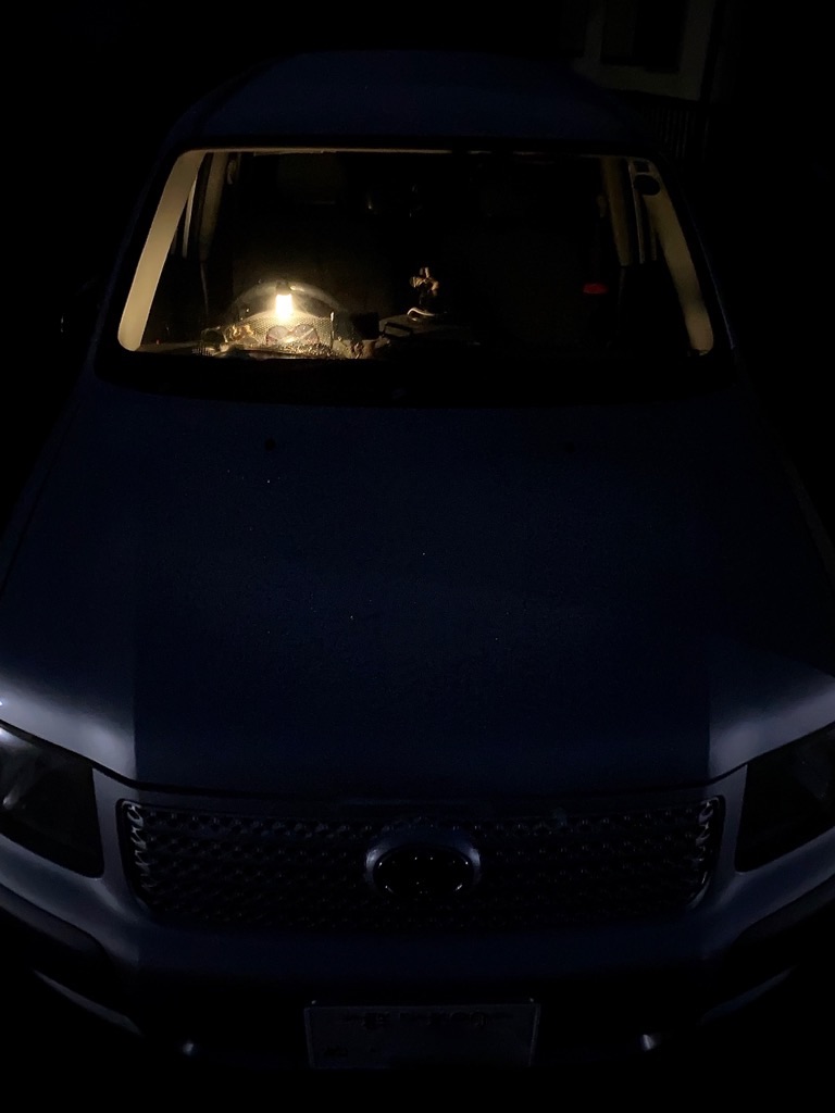 f:id:dragontone:20210101075338j:image