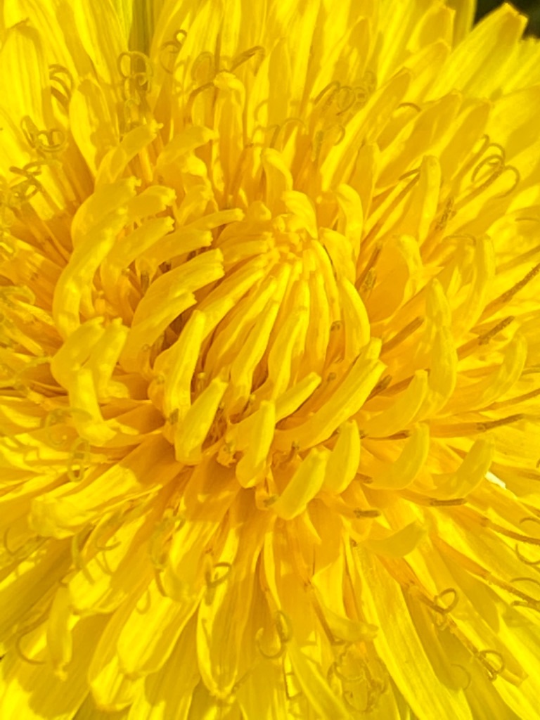 f:id:dragontone:20210317180811j:image f:id:dragontone:20210317180811j:image