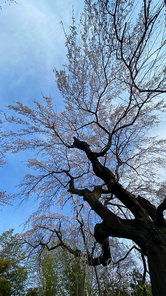 f:id:dragontone:20210327100729j:image