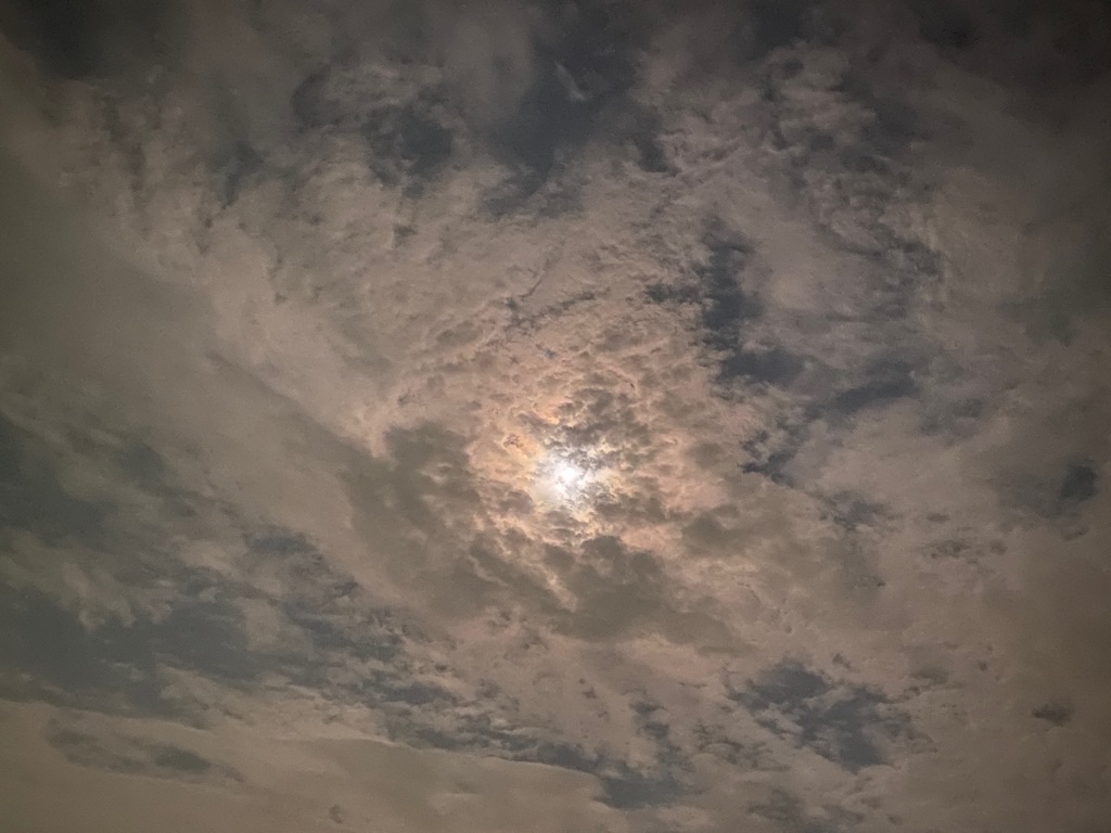 f:id:dragontone:20210623145855j:image f:id:dragontone:20210623145855j:image