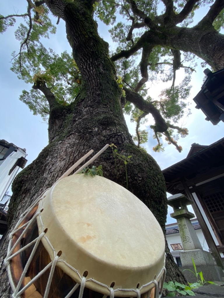 f:id:dragontone:20210625204942j:image