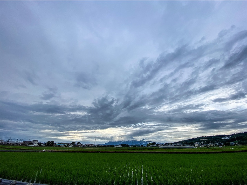 f:id:dragontone:20210630080657j:image f:id:dragontone:20210630080657j:image