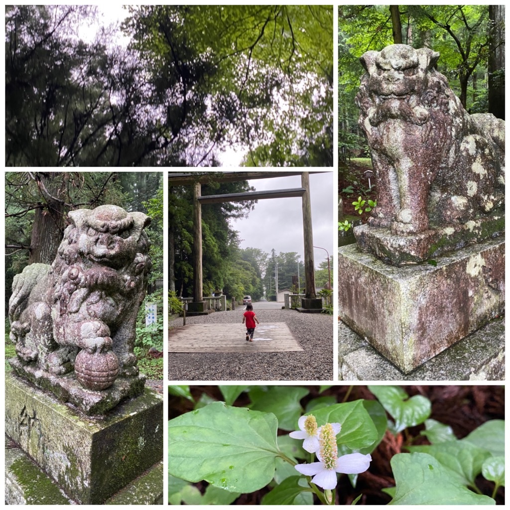 f:id:dragontone:20210630181409j:plain