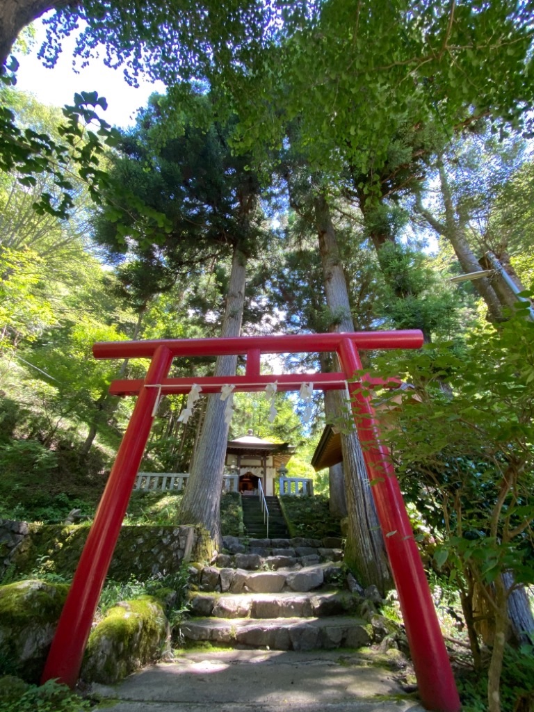 f:id:dragontone:20210718114931j:image f:id:dragontone:20210718114931j:image