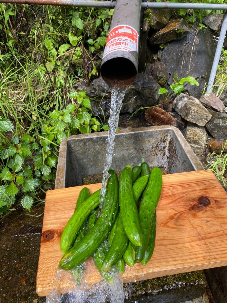 f:id:dragontone:20210802111413j:image f:id:dragontone:20210802111413j:image