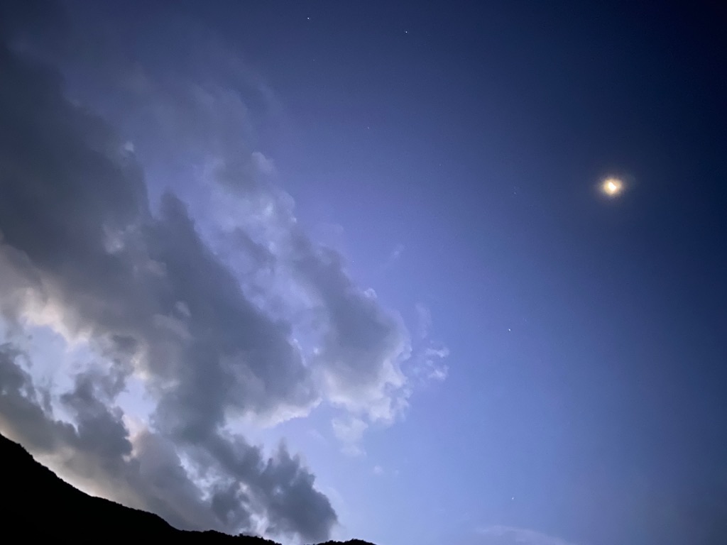 f:id:dragontone:20210802111637j:plain