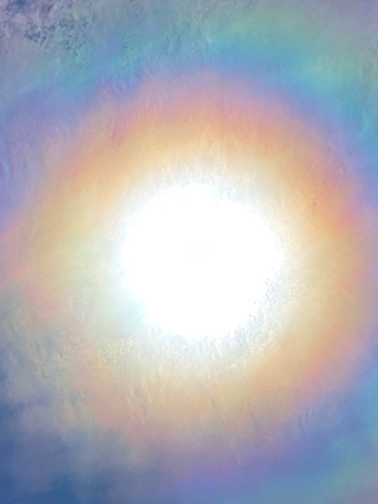 f:id:dragontone:20210907181108j:image f:id:dragontone:20210907181108j:image