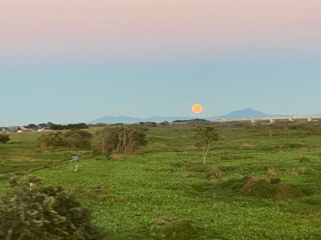 f:id:dragontone:20211026180213j:image f:id:dragontone:20211026180213j:image