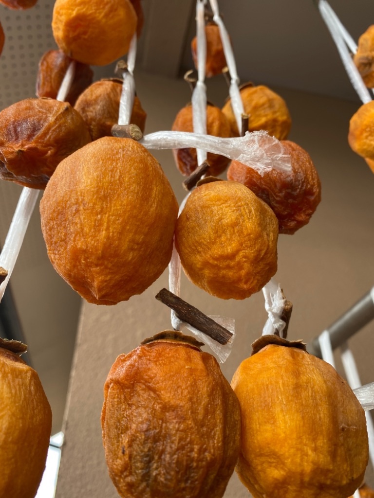 f:id:dragontone:20211026181545j:plain