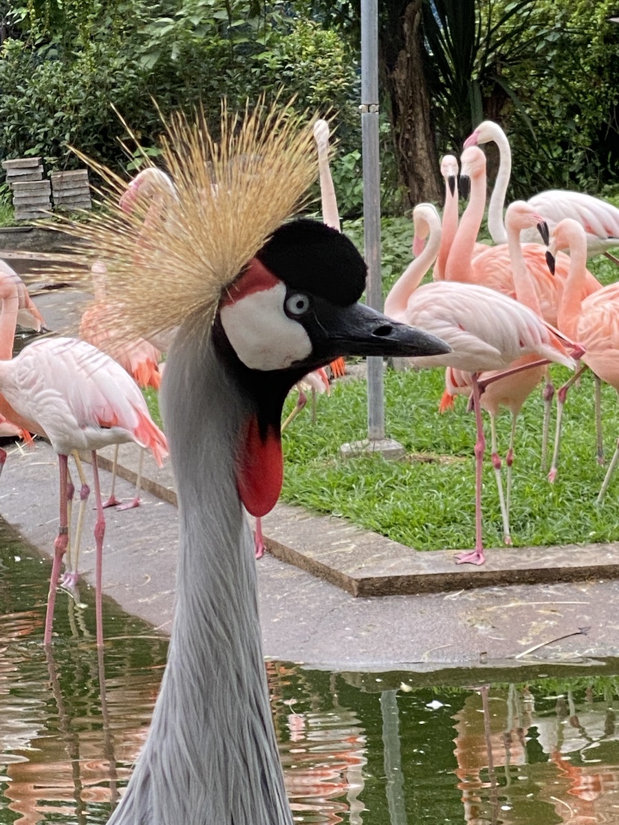 f:id:dragontone:20211026181913j:plain