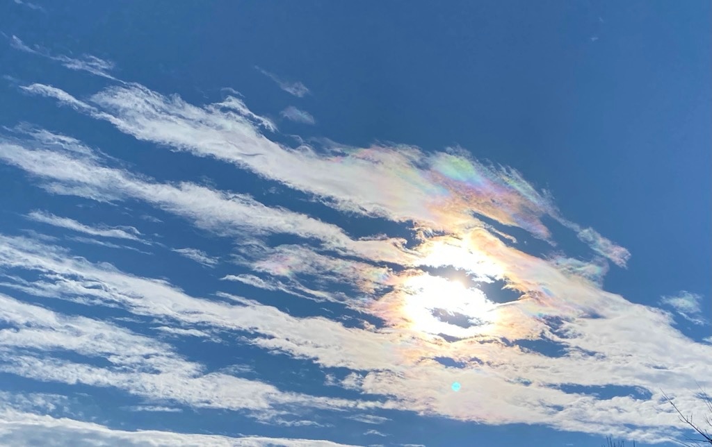 f:id:dragontone:20211226071305j:image f:id:dragontone:20211226071305j:image