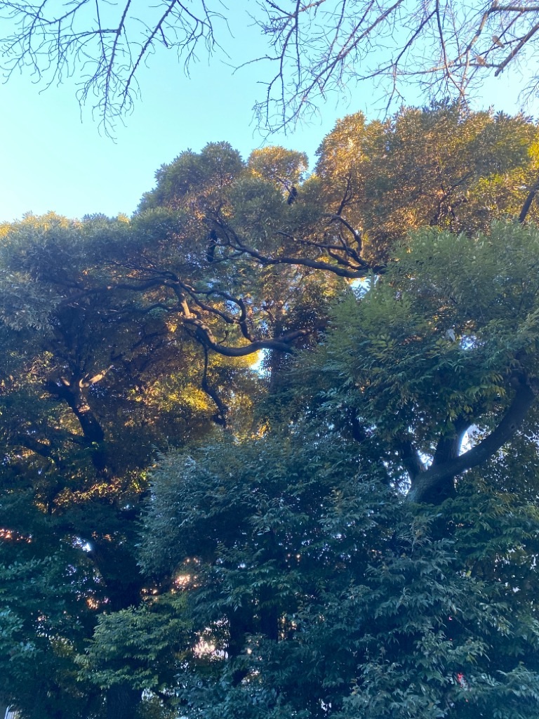 f:id:dragontone:20220121111002j:image