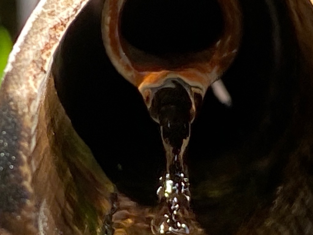 f:id:dragontone:20220201221154j:image f:id:dragontone:20220201221154j:image