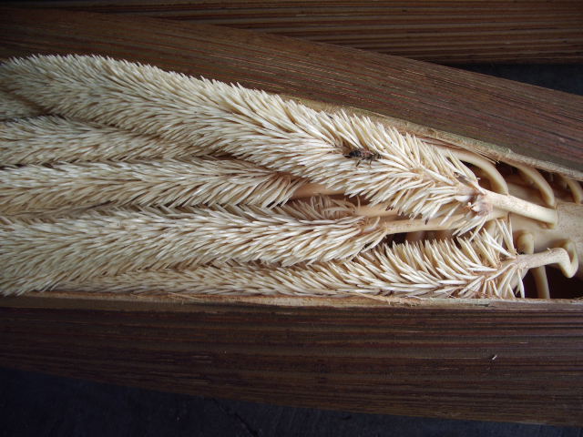 f:id:dragontone:20220308112300j:plain