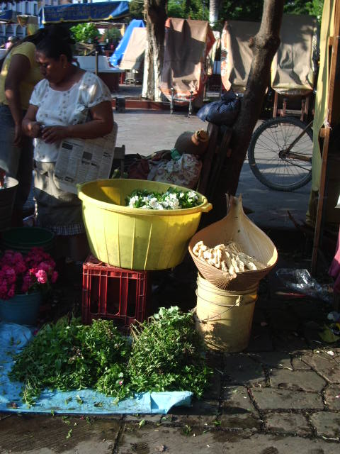 f:id:dragontone:20220308112334j:plain