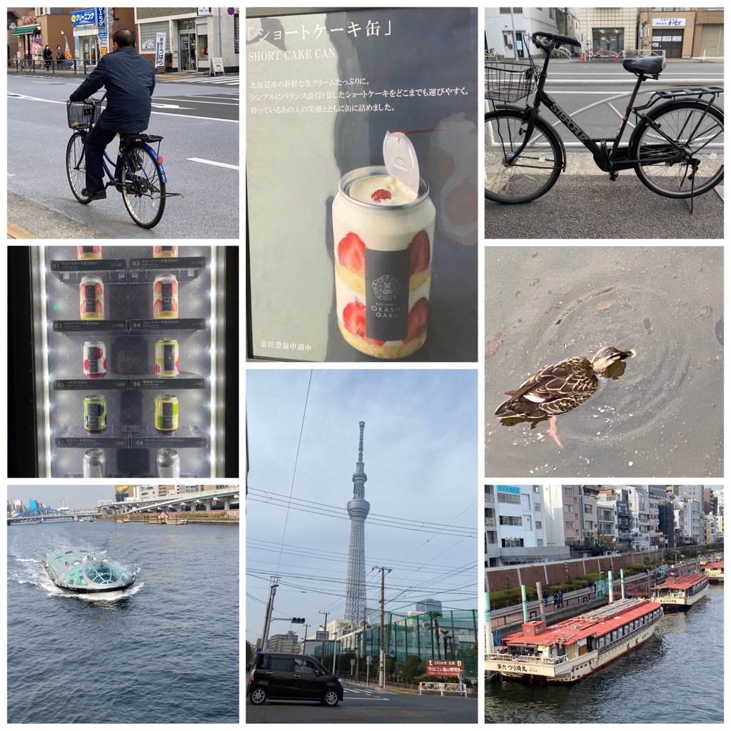 f:id:dragontone:20220314074544j:image f:id:dragontone:20220314074544j:image