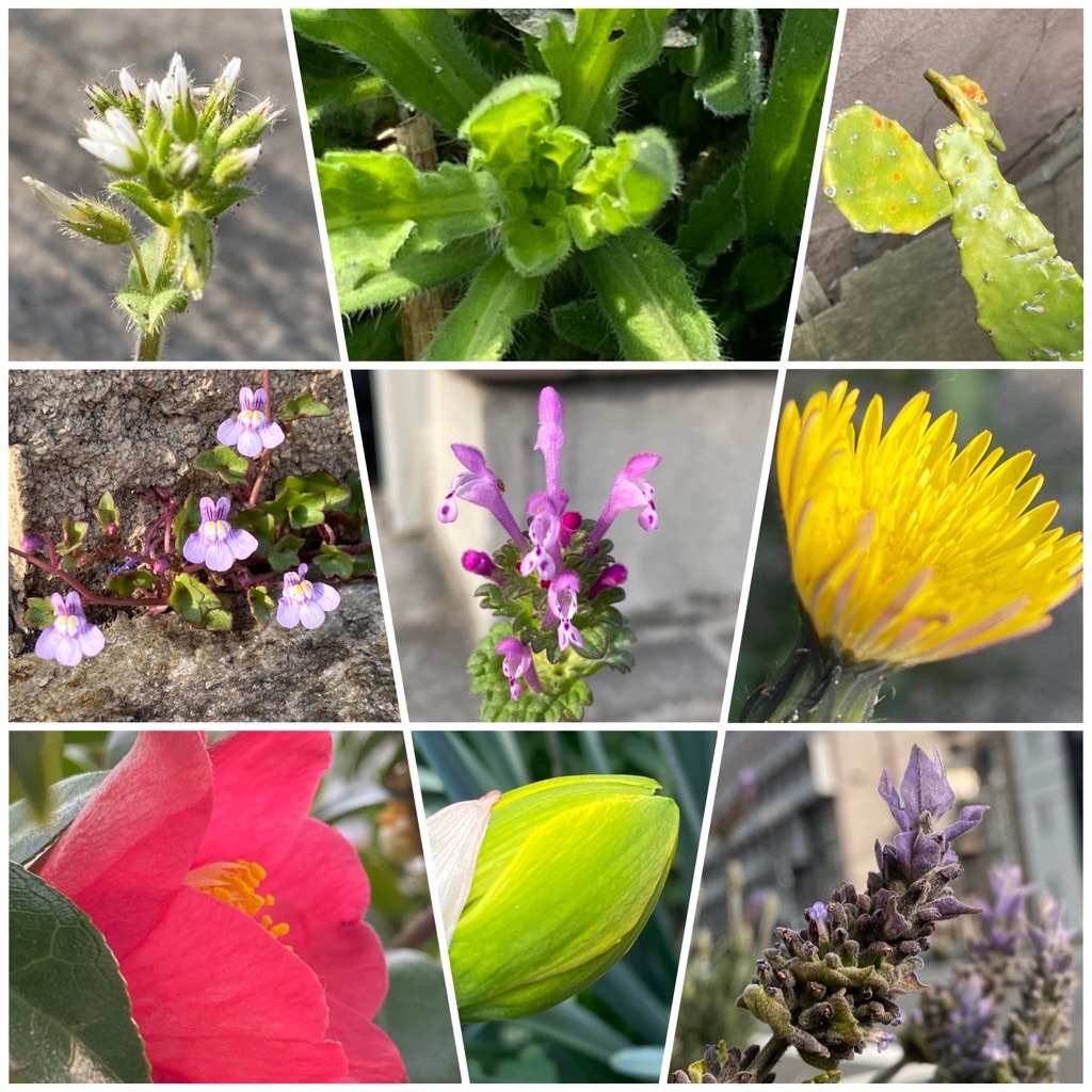 f:id:dragontone:20220314074602j:image f:id:dragontone:20220314074602j:image