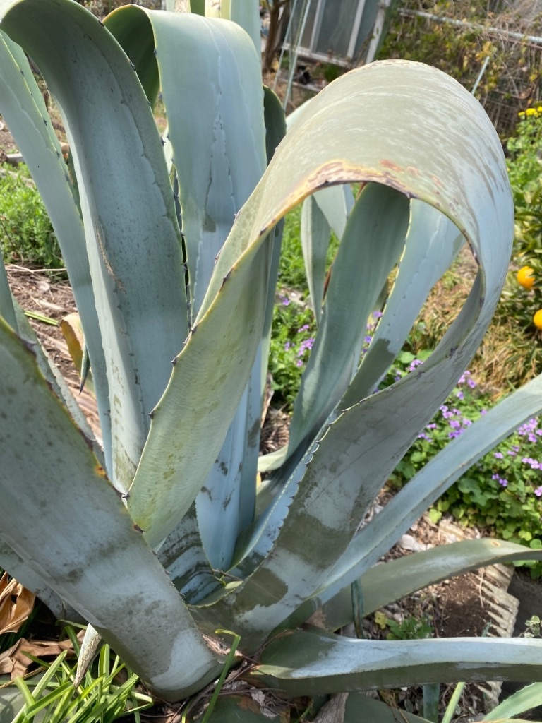 f:id:dragontone:20220314075018j:image f:id:dragontone:20220314075018j:image