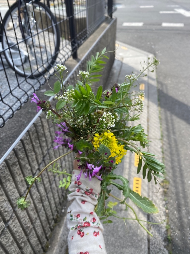 f:id:dragontone:20220314075034j:image f:id:dragontone:20220314075034j:image