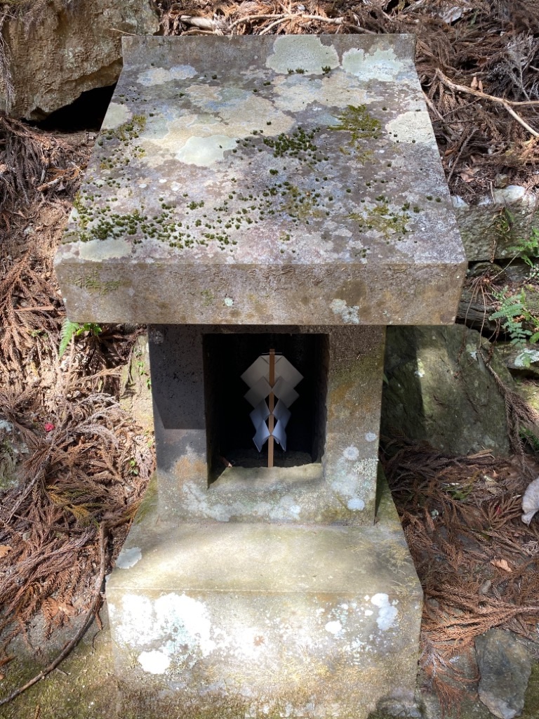 f:id:dragontone:20220330162014j:image f:id:dragontone:20220330162014j:image