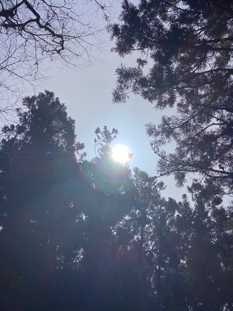 f:id:dragontone:20220330162025j:image f:id:dragontone:20220330162025j:image