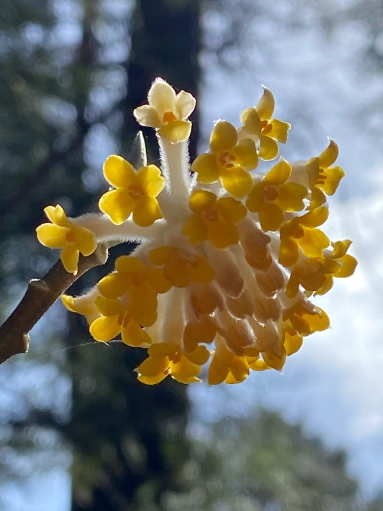 f:id:dragontone:20220330162028j:image f:id:dragontone:20220330162028j:image