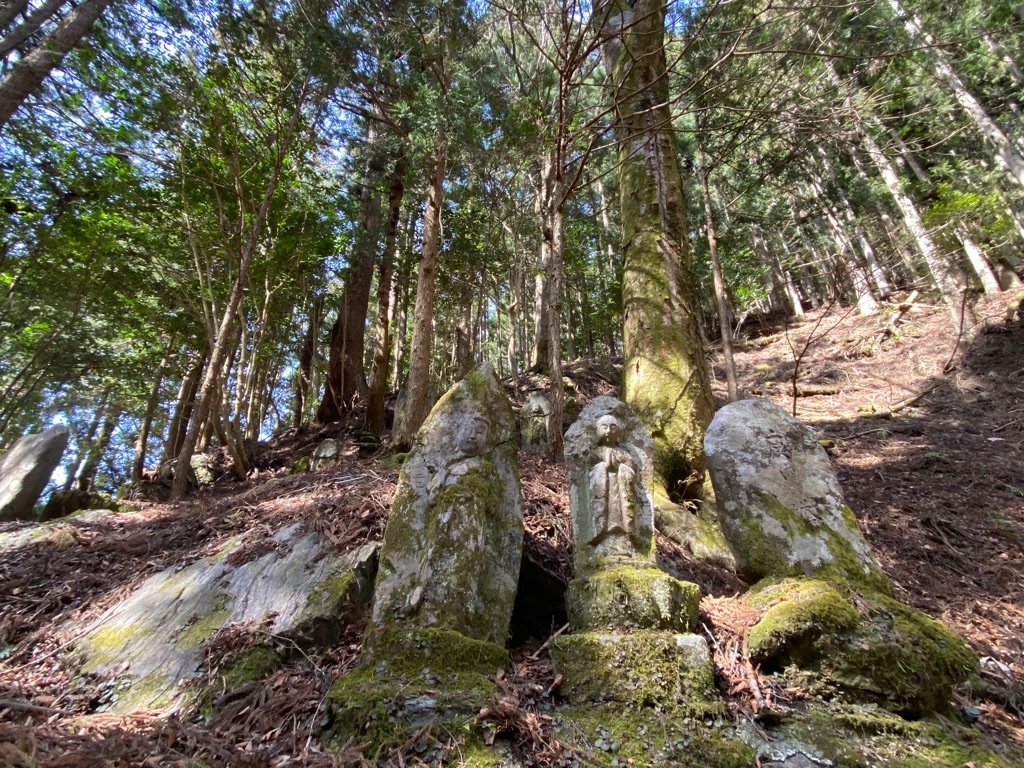 f:id:dragontone:20220330162030j:image f:id:dragontone:20220330162030j:image