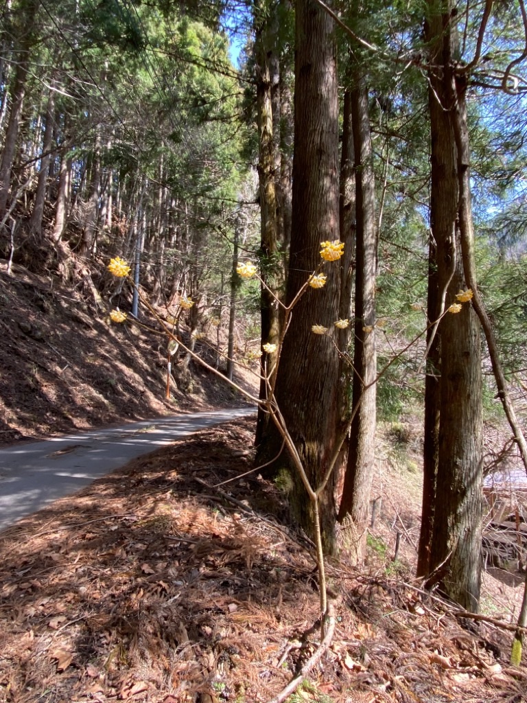 f:id:dragontone:20220330162044j:image f:id:dragontone:20220330162044j:image