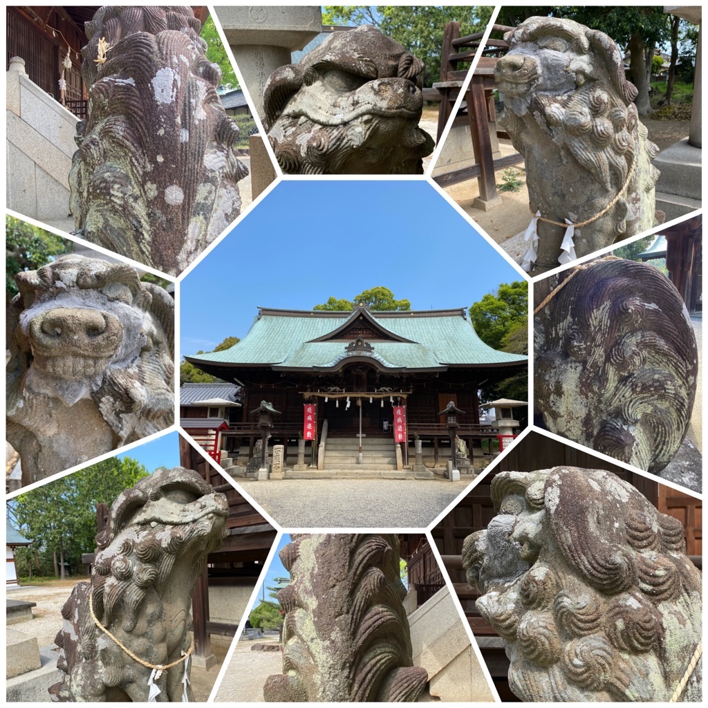 f:id:dragontone:20220424080055j:image f:id:dragontone:20220424080055j:image
