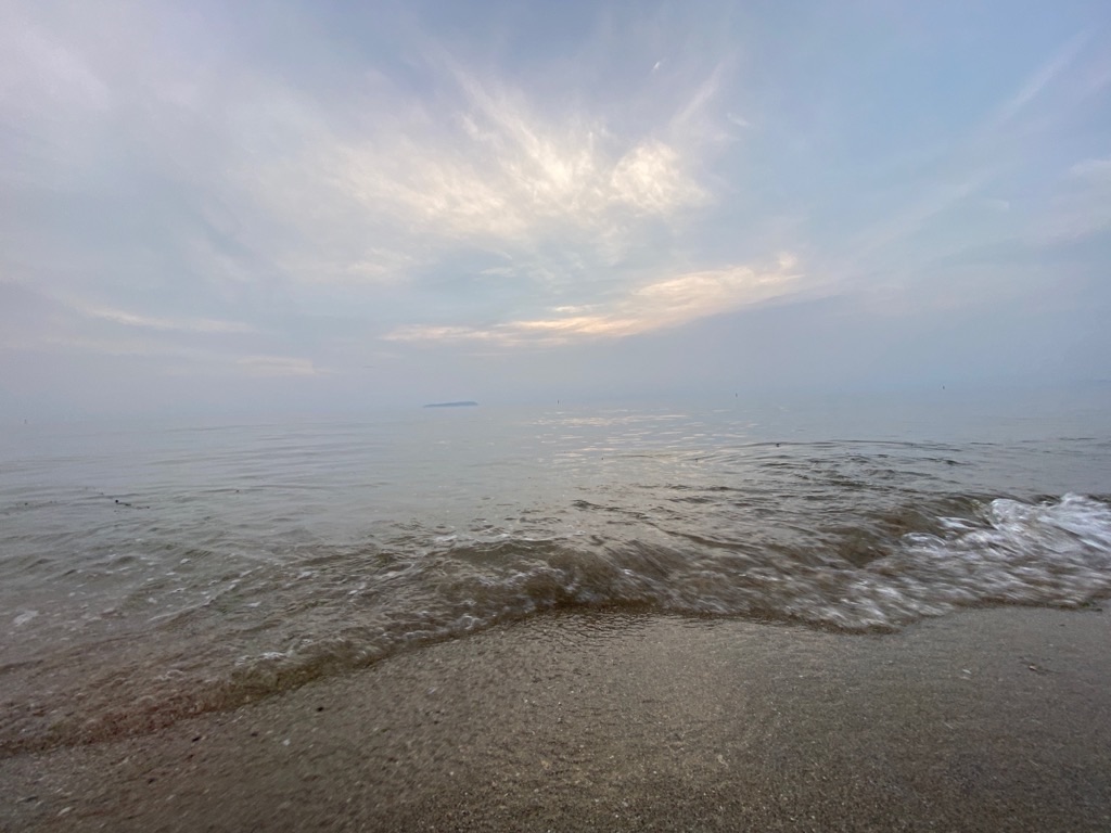 f:id:dragontone:20220427023930j:image f:id:dragontone:20220427023930j:image