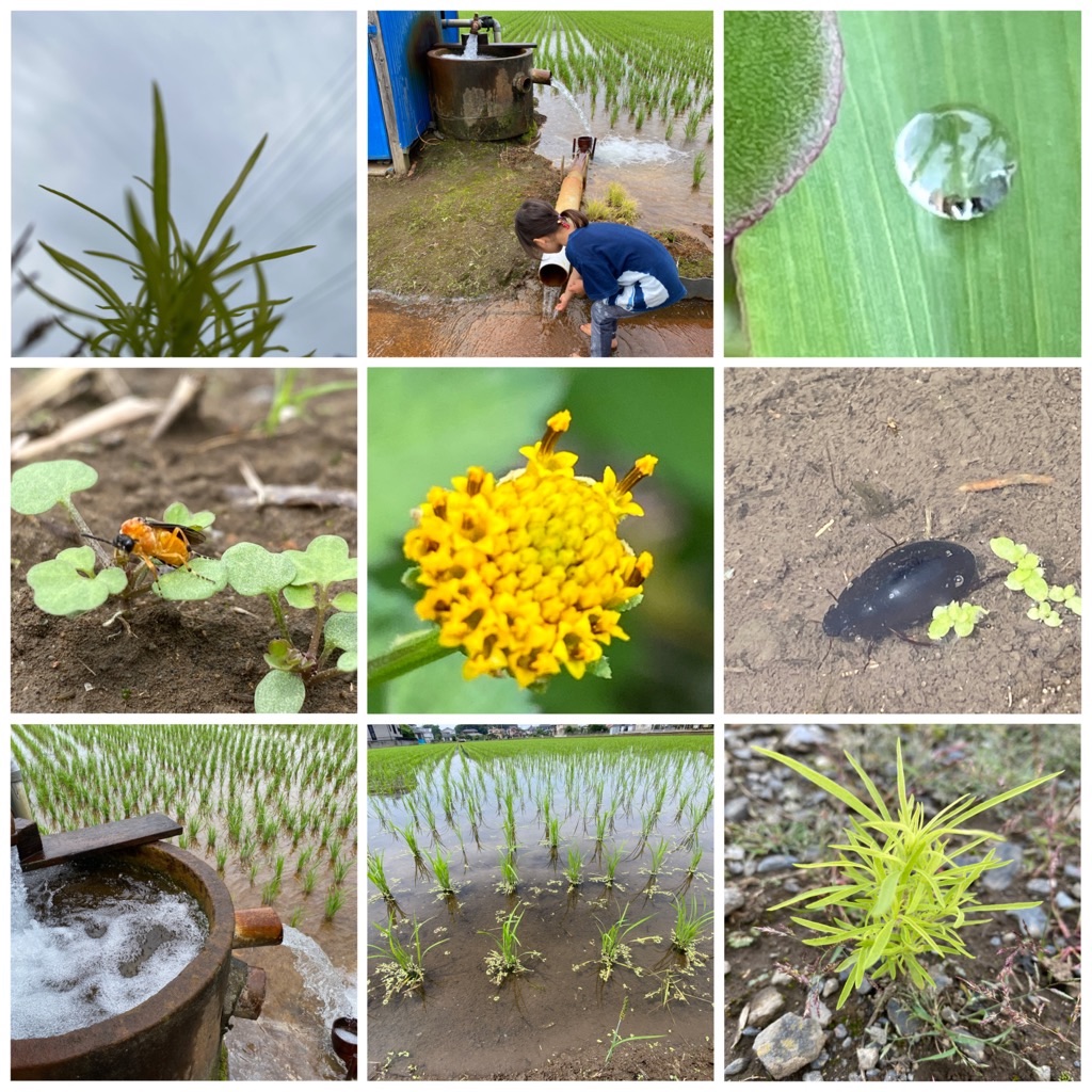 f:id:dragontone:20220618142603j:image