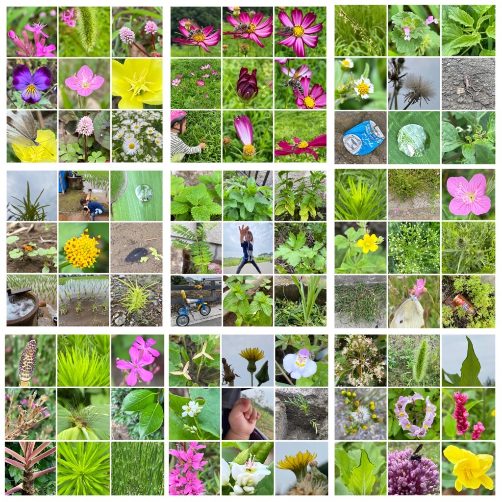 f:id:dragontone:20220618142610j:image